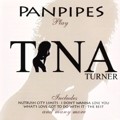 Panpipes play TINA TURNER